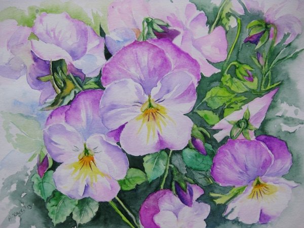 Виола Салмон акварель