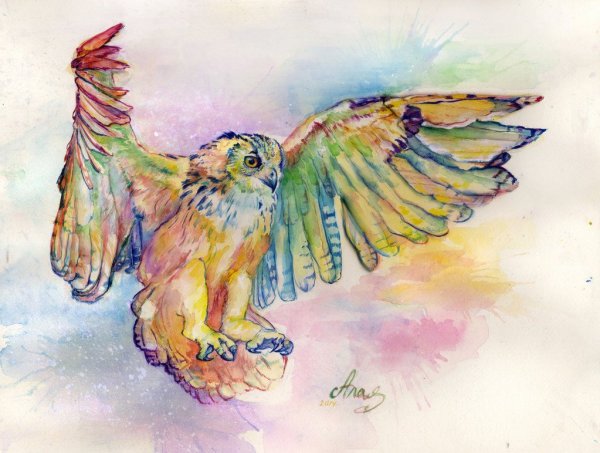 Сова летит акварель