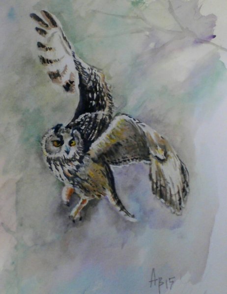 Сова в полете рисунок