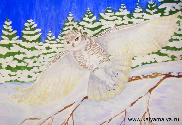 Рисование с детьми Сова зимой