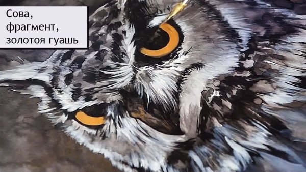 Рисование щетинная кисть Сова