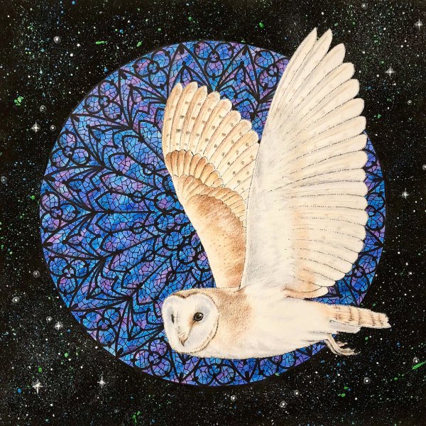 Сова сипуха картина