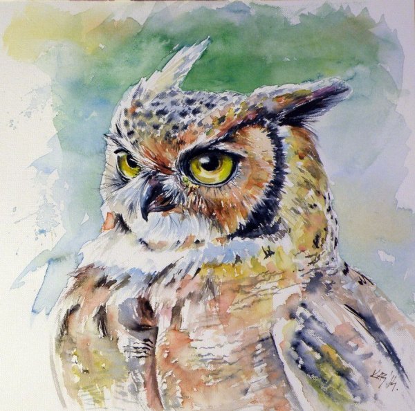 Сова акварелью