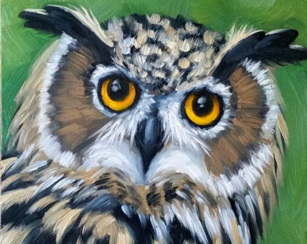Сова акрилом на холсте