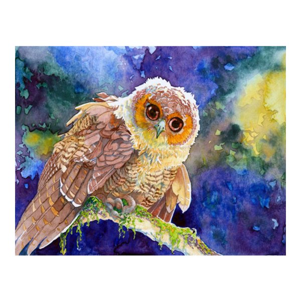 Филин красками