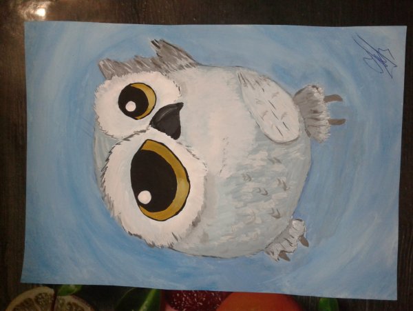 Рисование для детей 6 лет гуашью Сова