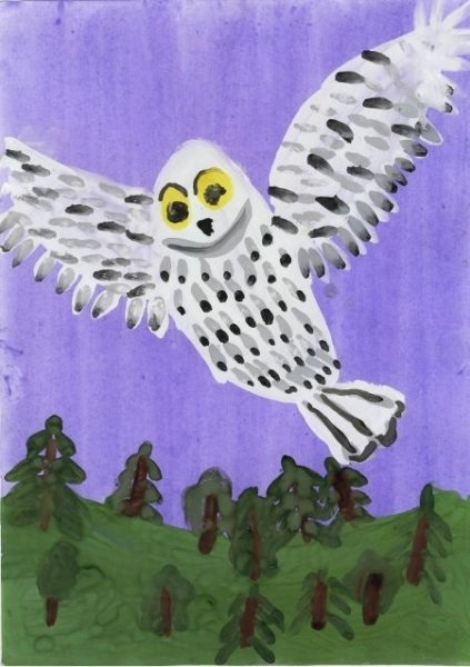 Рисование Сова в старшей группе