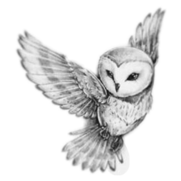 Сова в полете тату