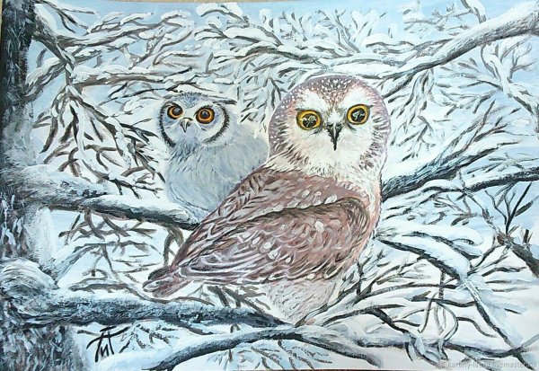 Зимний пейзаж с совой