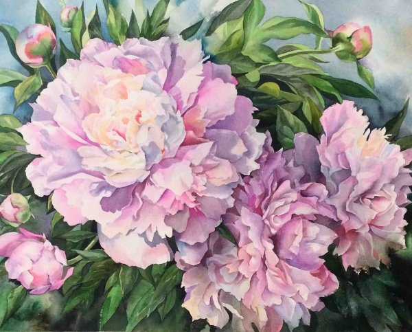 Пионы лессировка