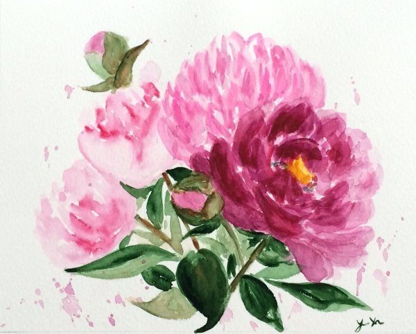 Пион кавахский акварель