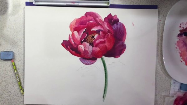 Рисование пионов пошагово