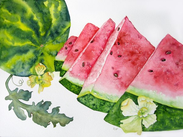 Кусок арбуза акварелью