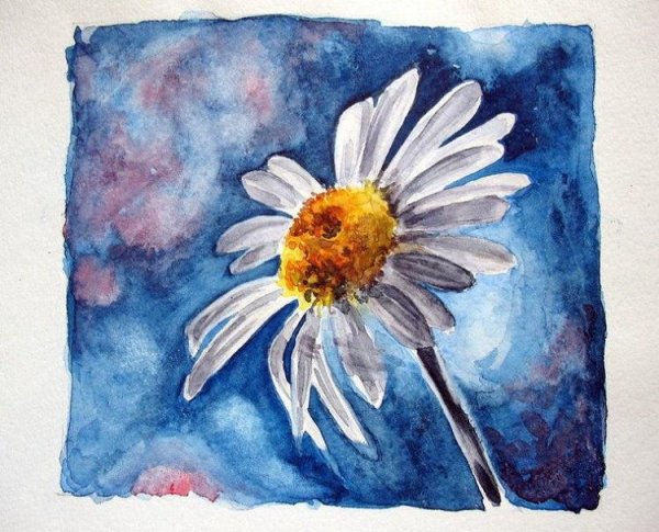 Акварельные рисунки