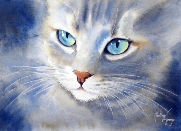 Котик гуашью