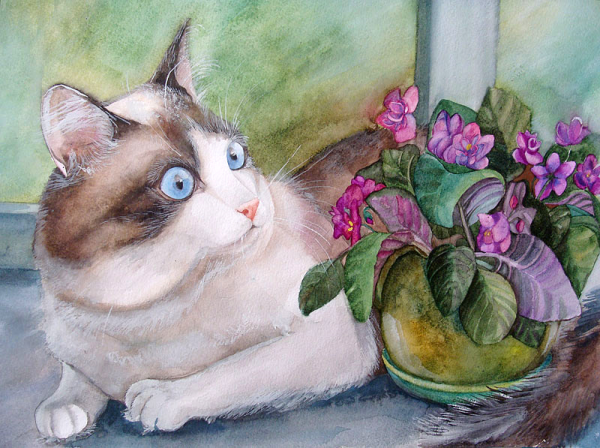 Котики художник Пловецкая Татьяна