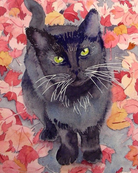 Кошка красками