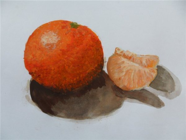 Мандарины Этюд