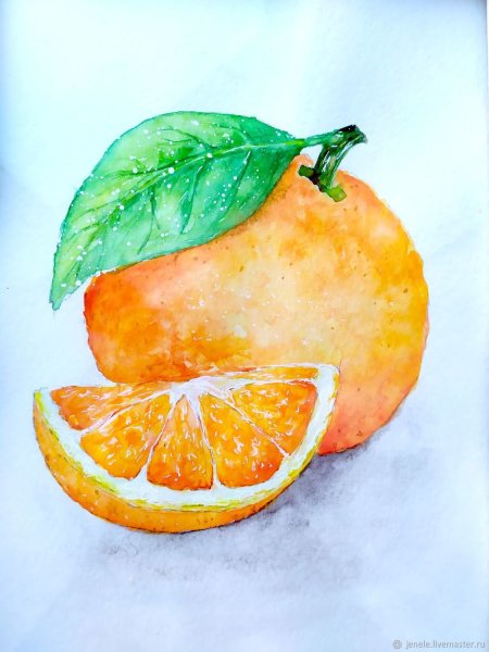 Апельсин акварелью
