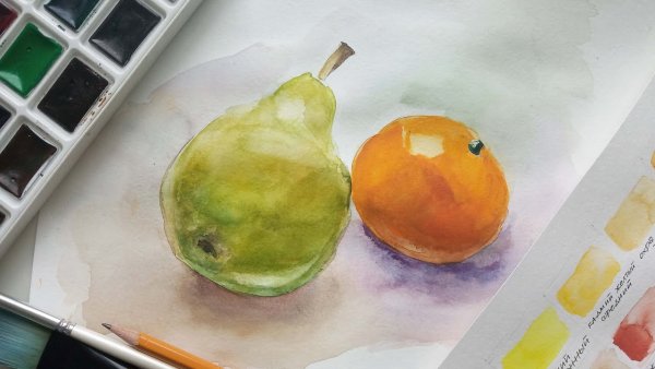 Груша акварелью Андрияка