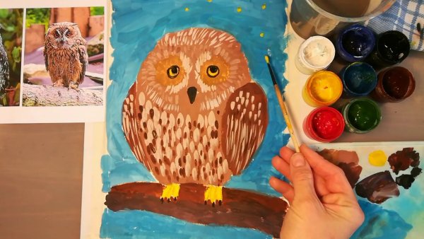 Сова рисунок красками