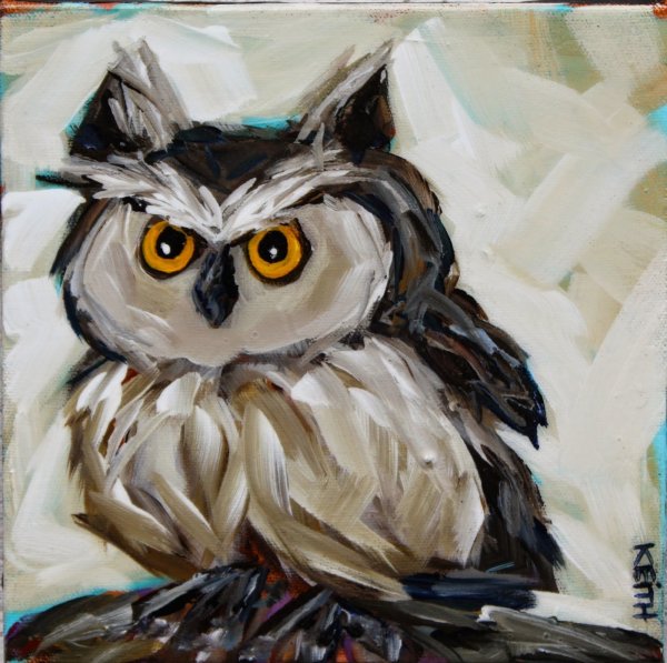 Сова красками