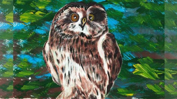 Совенок гуашь