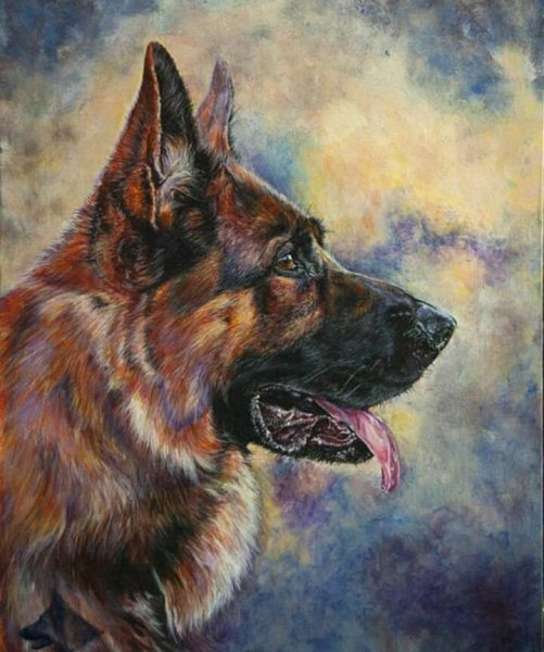 Овчарка гуашью