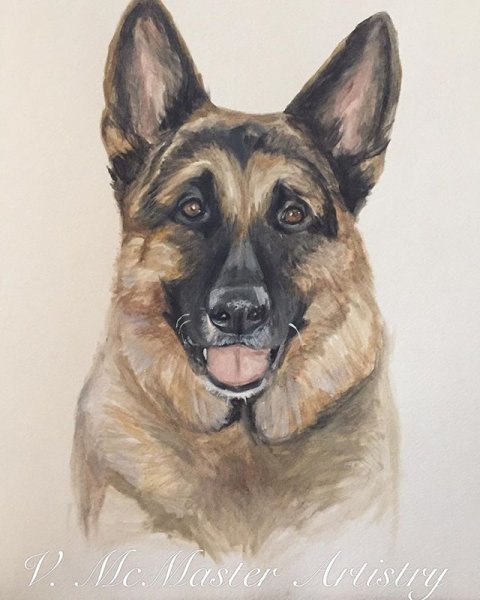 Овчарка гуашью