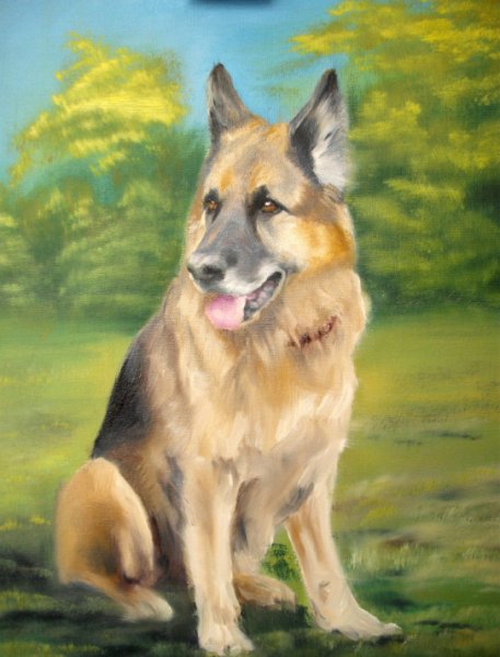 Бельгийская овчарка арт