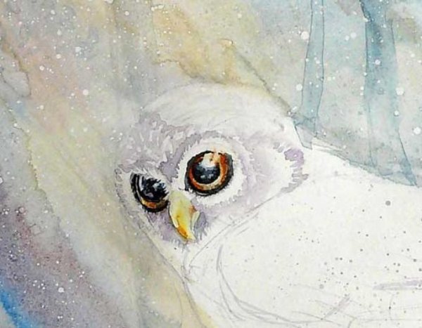 Рисование с детьми Совушка