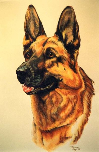 Картина собаки