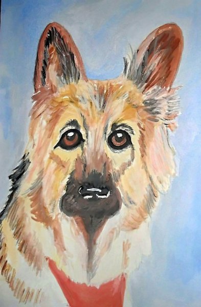 Немецкая овчарка в гуаш