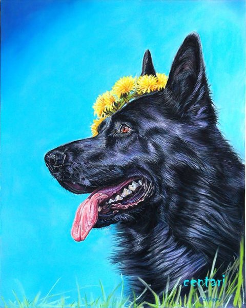 Акварели художник David j Rogers