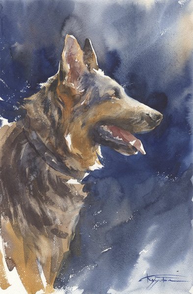 Немецкая овчарка акварелью