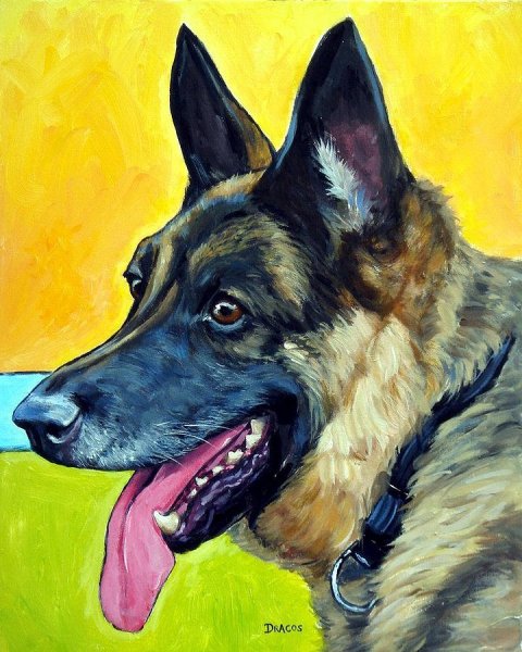 Немецкая овчарка Мухтар арт