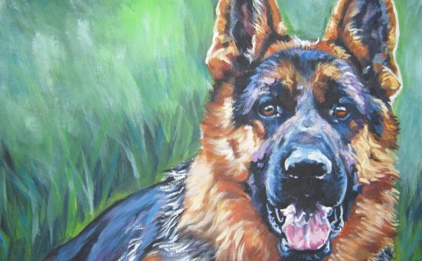 Овчарка акварелью