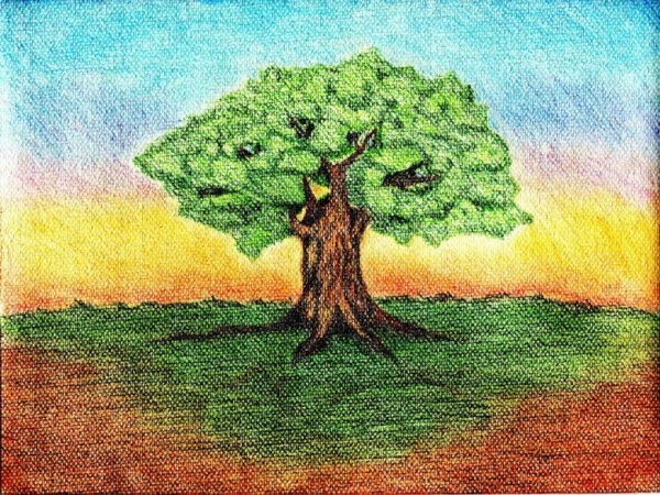 Дуб рисунок красками