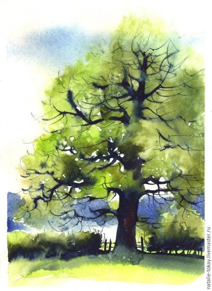 Наталья Токарева акварель