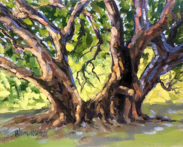 Масло для дерева