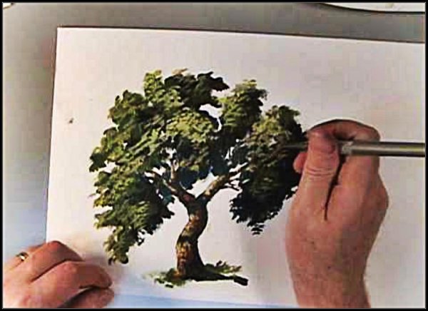 Дерево красками пошагово