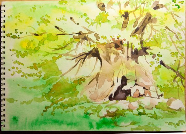 Деревья акварелью детские