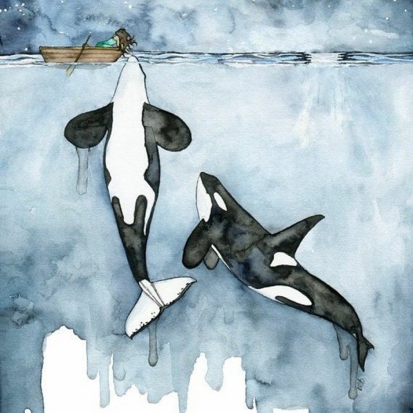 Касатка акварель