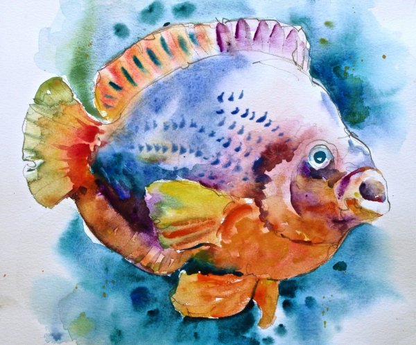 Давид Лобенберг акварели животных