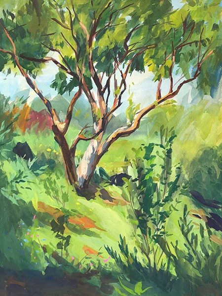 Пленэрные деревья акварель