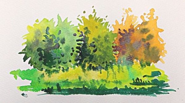 Куст красками