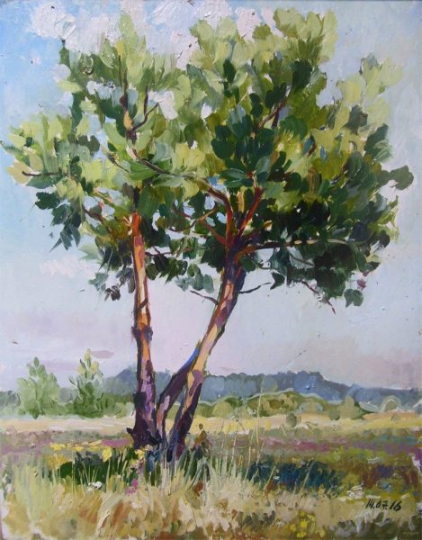 Этюды Васнецова пленэрные