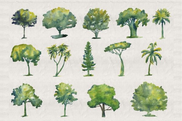 Антураж кусты отмывка