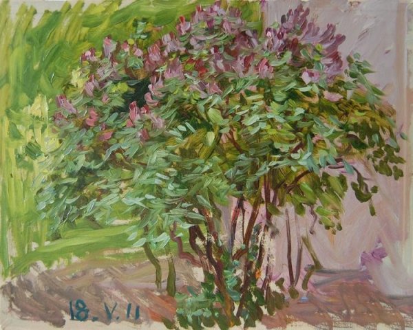 Поленов куст сирени