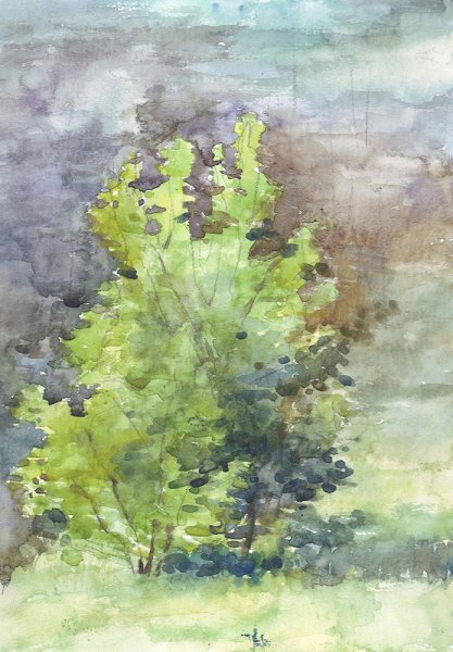 Деревья акварелью пленэр